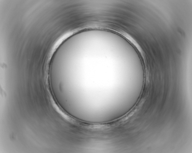X0000091371437200708101107