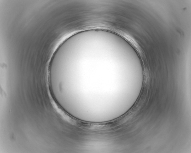X0000091371439200708101107