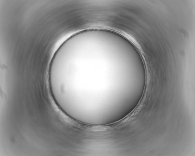 X0000091371440200708101107