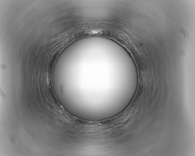 X0000091371442200708101106