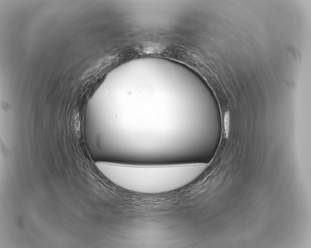 X0000091371443200708101106