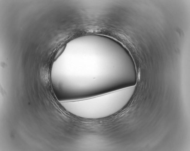 X0000091371444200708101106