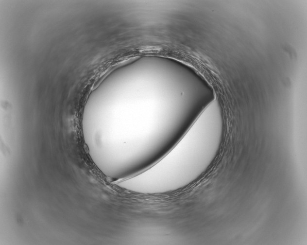 X0000091371445200708101106