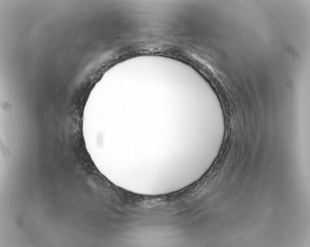 X0000091371447200708101106