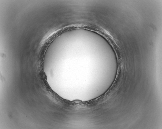 X0000091371448200708101106