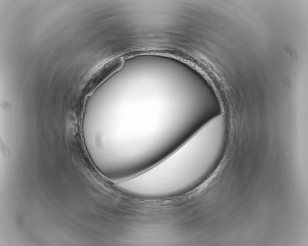 X0000091371449200708101106