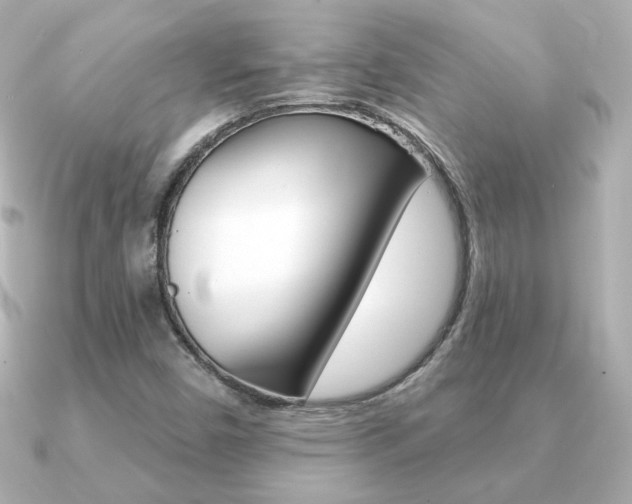 X0000091371450200708101106