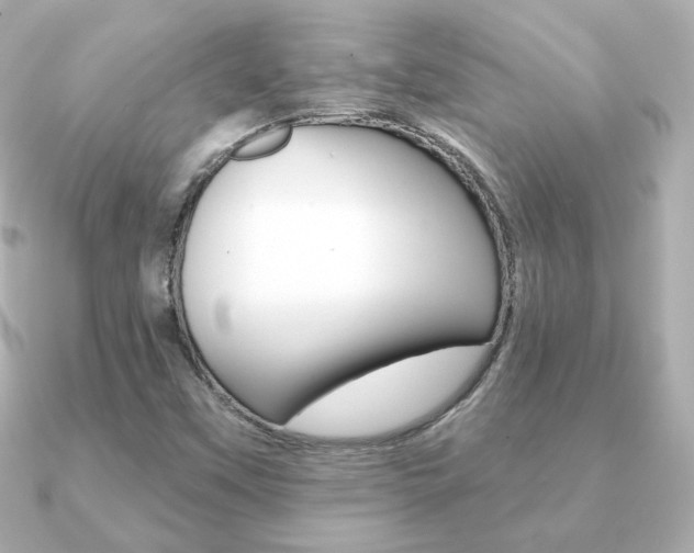 X0000091371451200708101106
