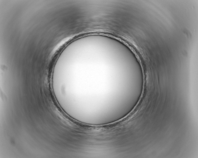 X0000091371452200708101106