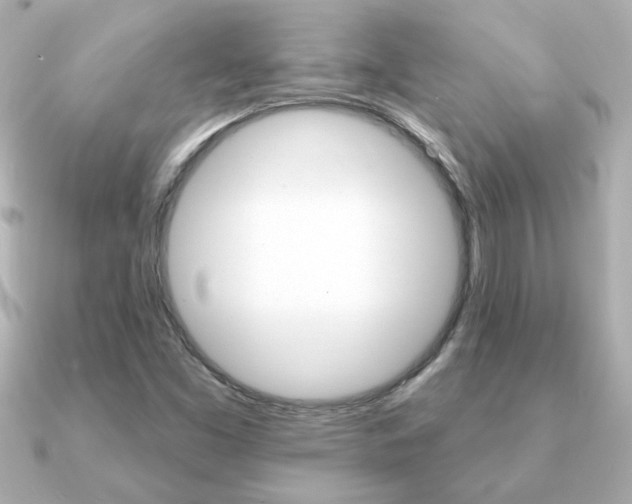 X0000091371453200708101106