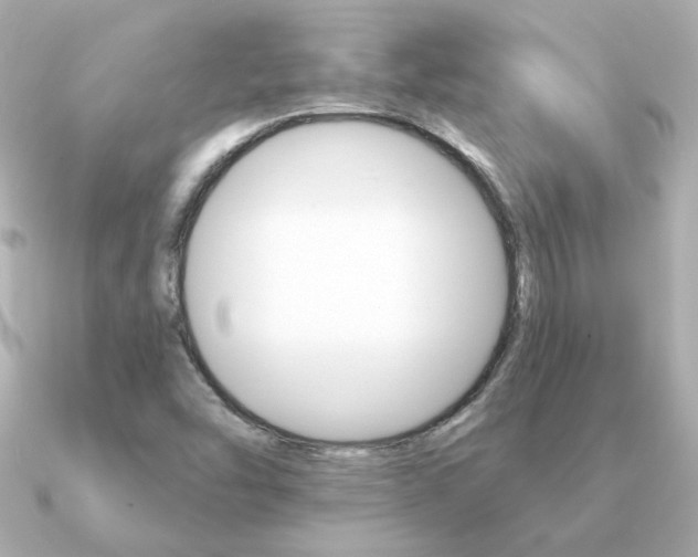 X0000091371454200708101106