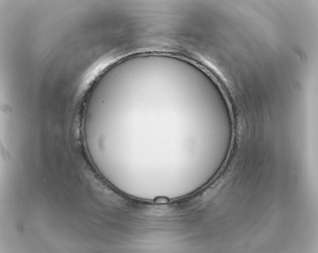 X0000091371455200708101106