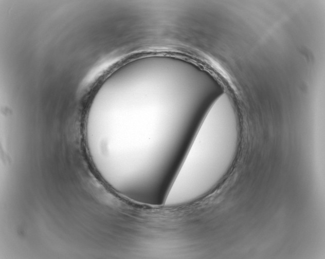 X0000091371456200708101106