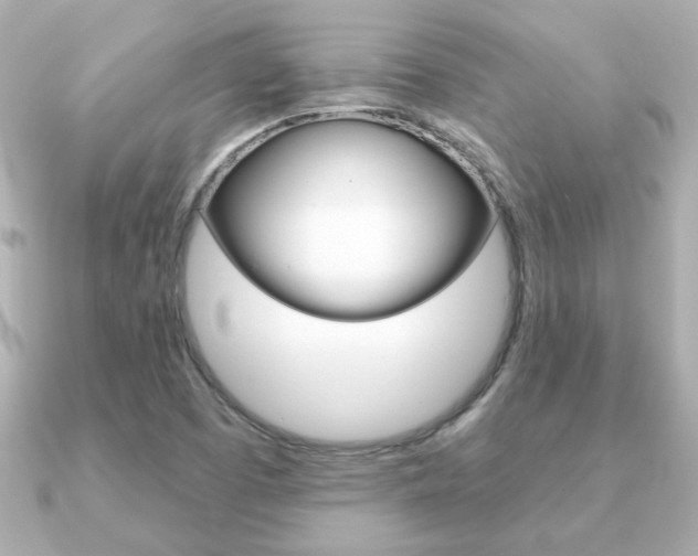 X0000091371457200708101106