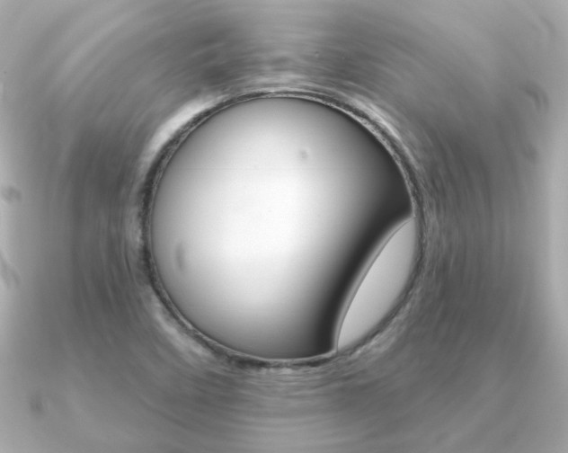 X0000091371458200708101106