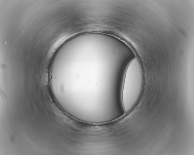 X0000091371459200708101106