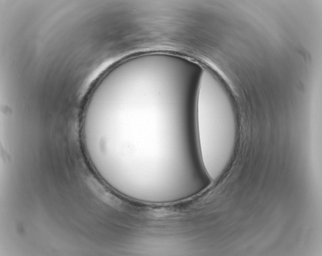 X0000091371460200708101106