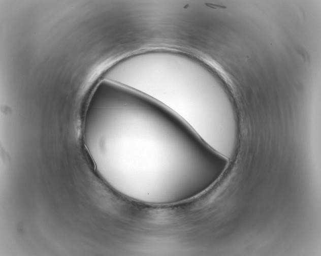 X0000091371461200708101106