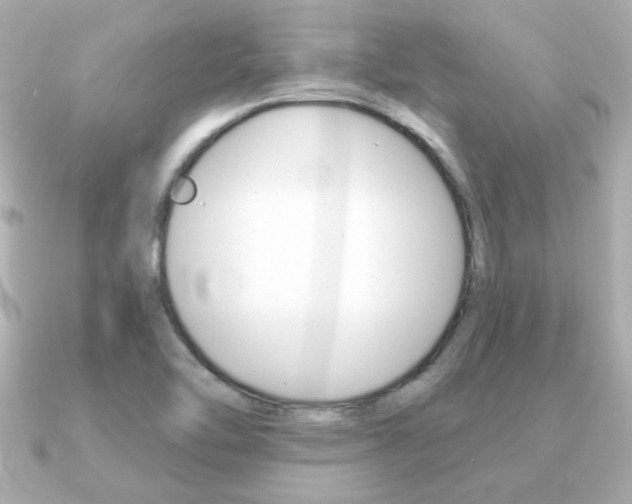 X0000091371462200708101106