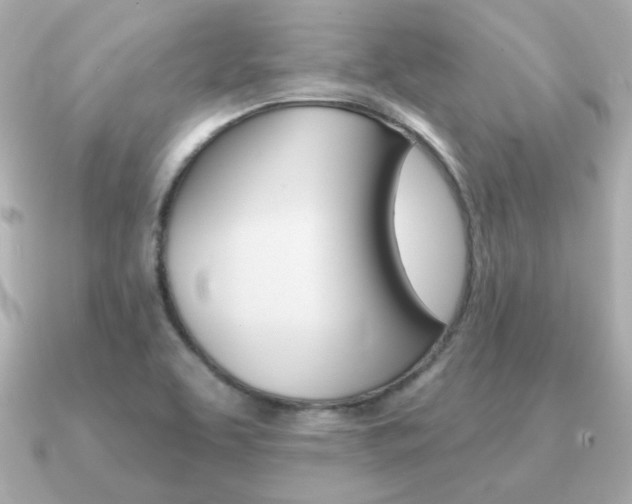 X0000091371463200708101106