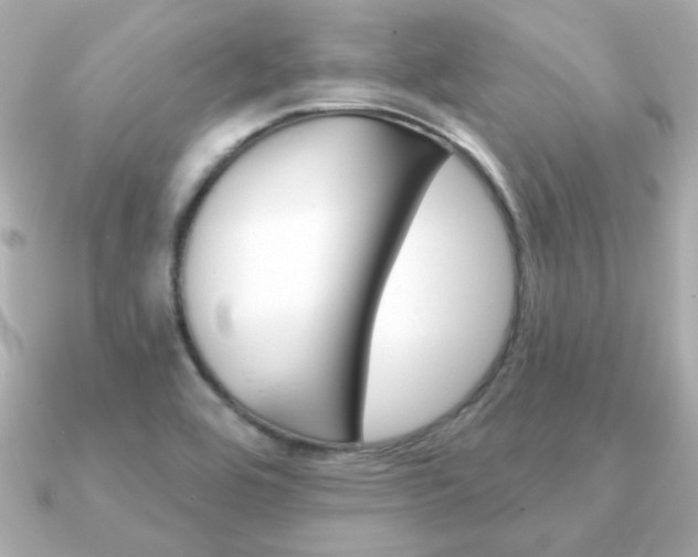 X0000091371464200708101106
