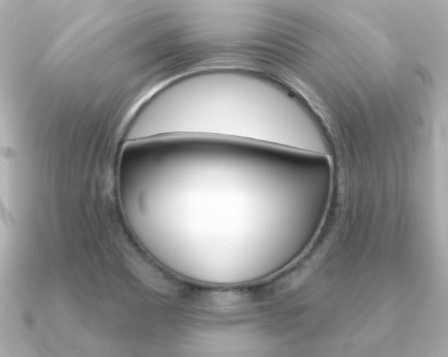 X0000091371465200708101106