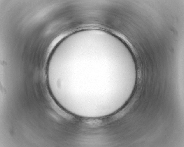 X0000091371466200708101106