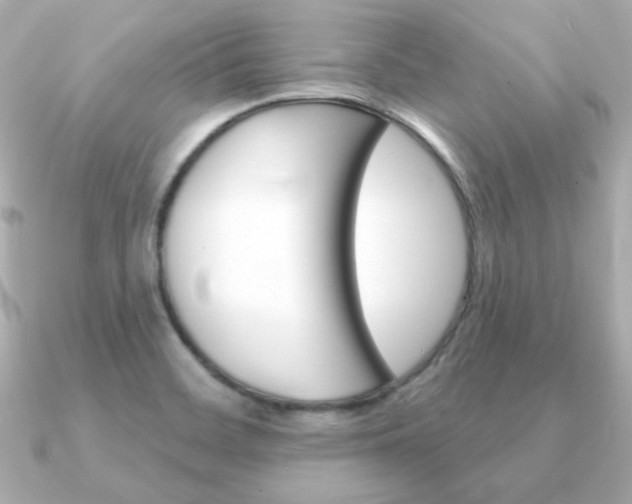 X0000091371468200708101106