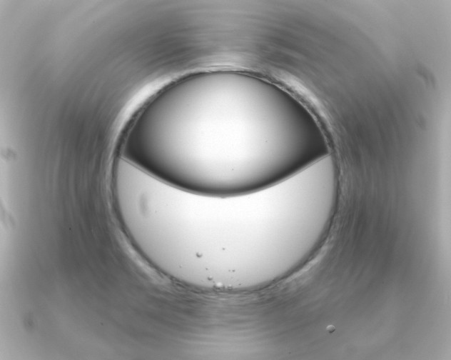 X0000091371469200708101106