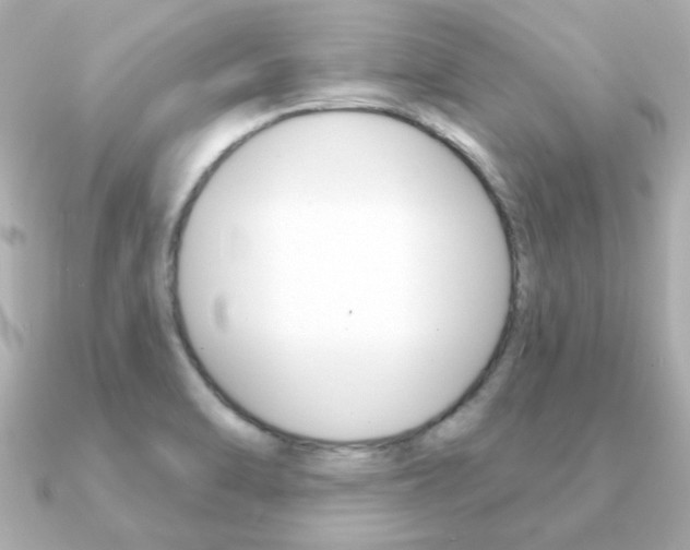 X0000091371470200708101106