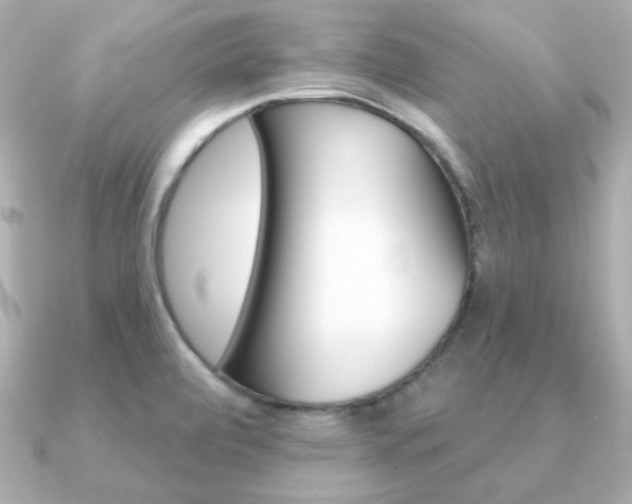 X0000091371472200708101106