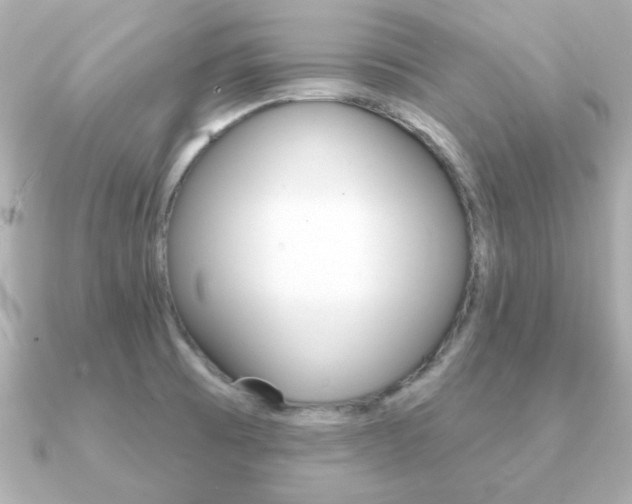 X0000091371473200708101106