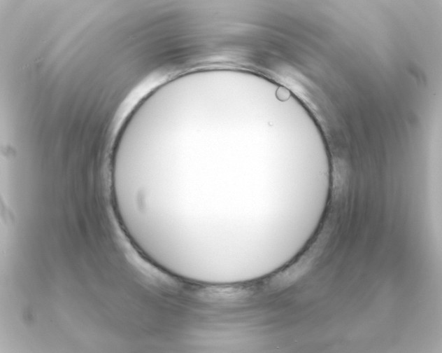X0000091371474200708101106