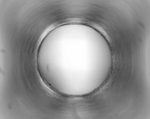 X0000091371475200708101106