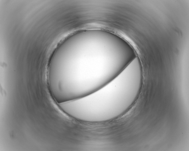 X0000091371477200708101106