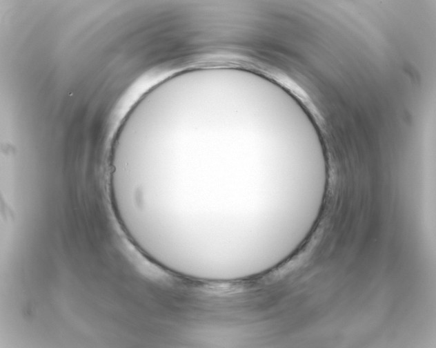X0000091371478200708101106