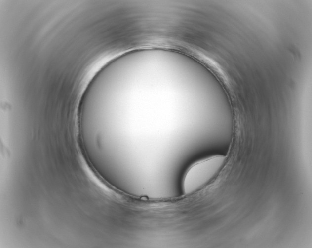 X0000091371479200708101106