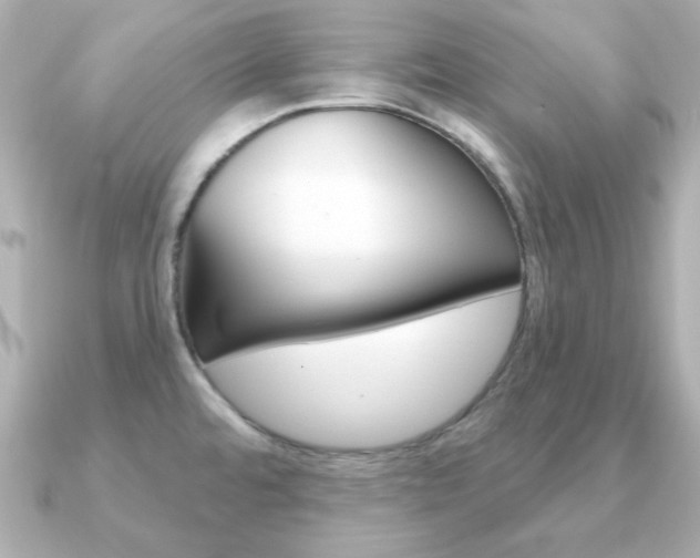 X0000091371480200708101106