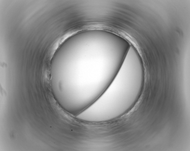 X0000091371481200708101106