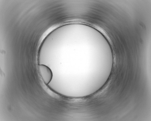 X0000091371482200708101106