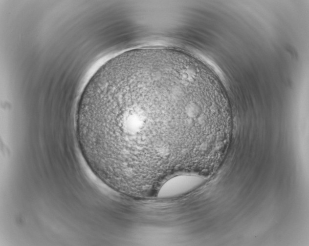 X0000091371483200708101106