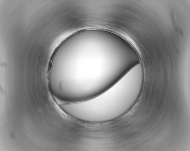 X0000091371485200708101106