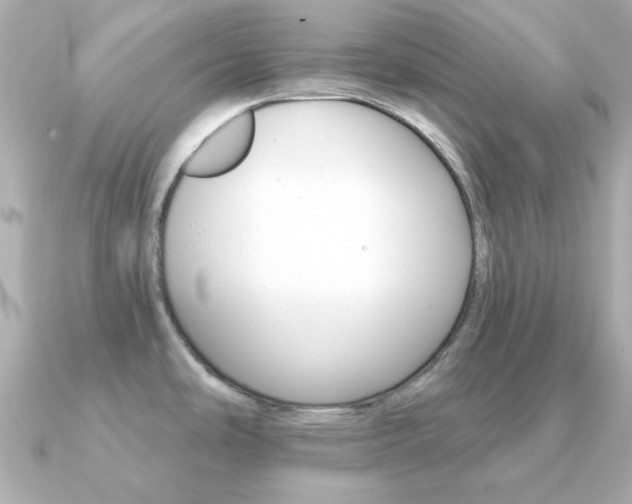 X0000091371486200708101106