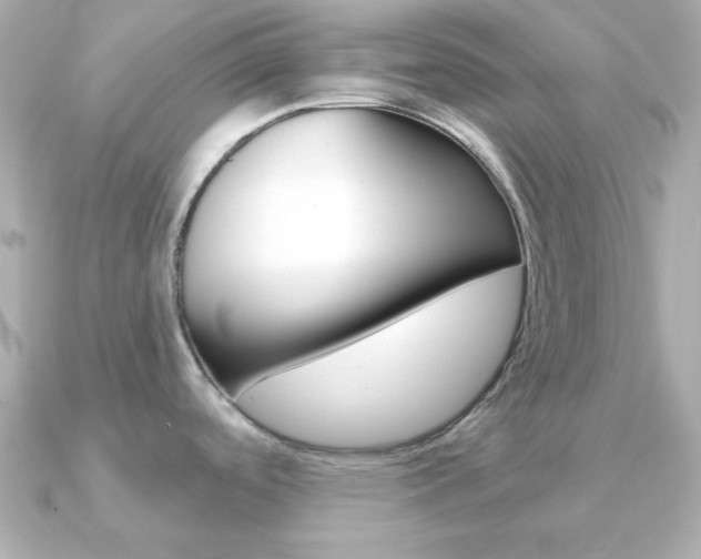 X0000091371488200708101106