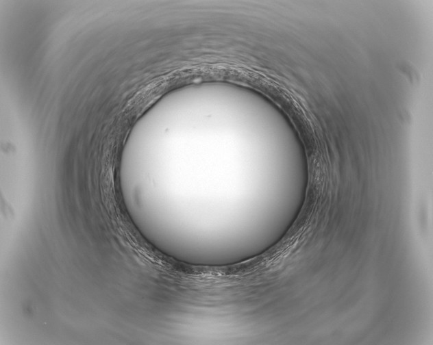 X0000091371489200708101105