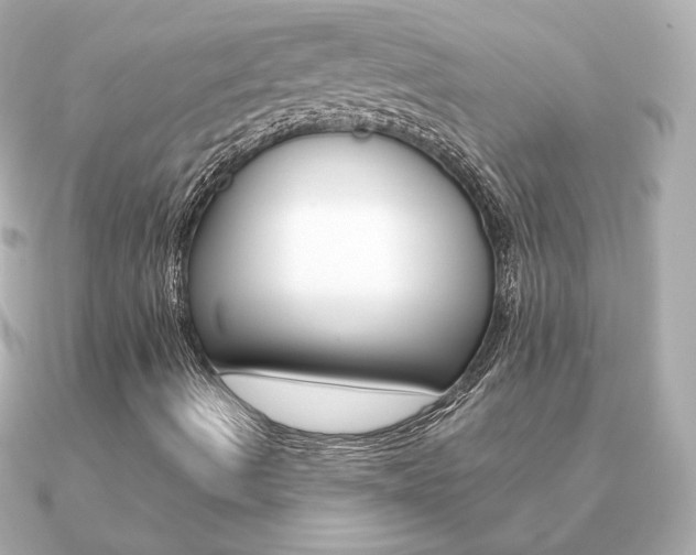 X0000091371490200708101105