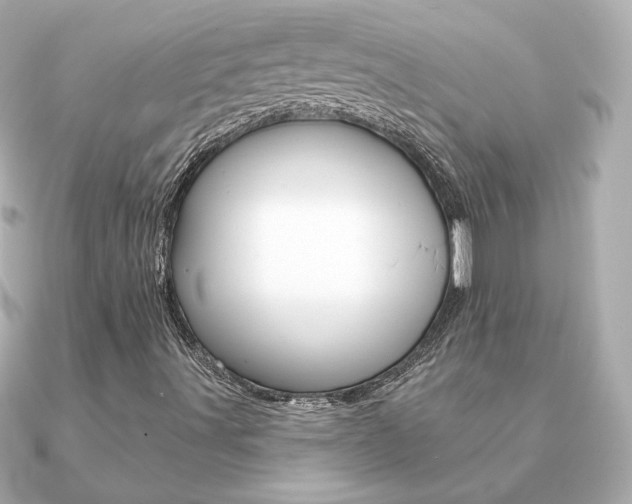 X0000091371491200708101105