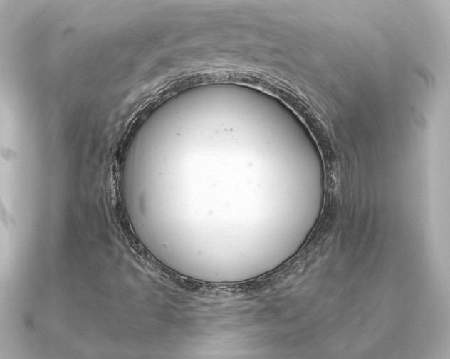 X0000091371493200708101105
