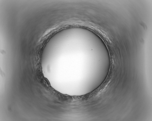 X0000091371494200708101105