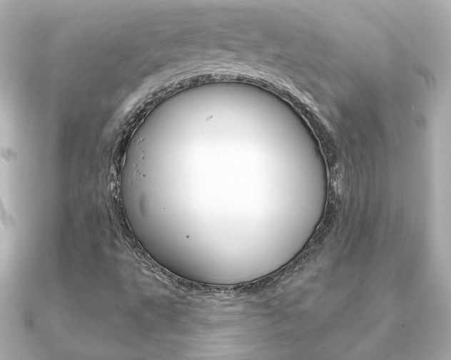 X0000091371495200708101105